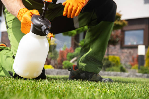 Best Pest Prevention Services  in Fairview Ferndale, PA