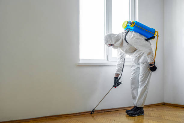 Best Pest Control for Businesses  in Fairview Ferndale, PA