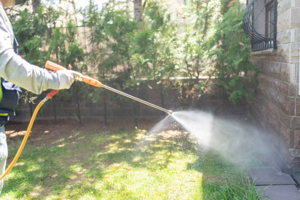 Best Best Pest Control Companies  in Fairview Ferndale, PA