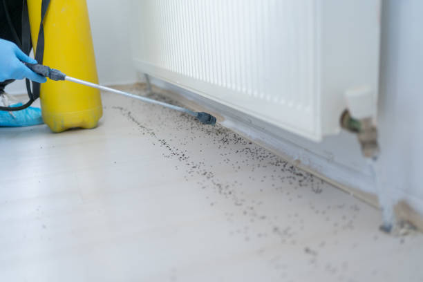 Best Pest Removal Services  in Fairview Ferndale, PA