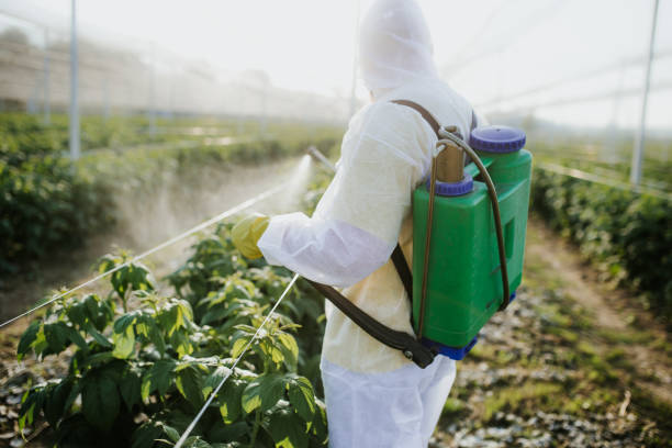 Best Wasp Removal Services  in Fairview Ferndale, PA